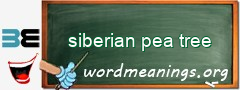 WordMeaning blackboard for siberian pea tree